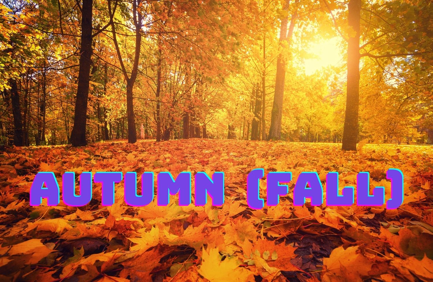 2023 ⇒ How Many Days Until Autumn/Fall?